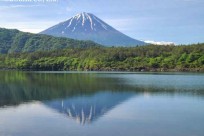 プライベートツアー