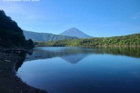 樹海ネイチャーツアー