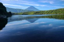 樹海ネイチャーツアー