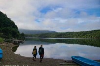 樹海ネイチャーツアー