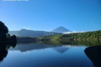 樹海ネイチャーツアー