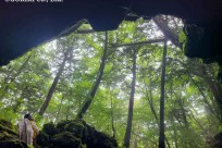 樹海ネイチャーツアー