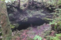 樹海ネイチャーツアー