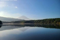 樹海ネイチャーツアー