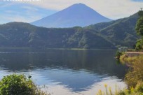 樹海ネイチャーツアー