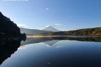 樹海ネイチャーツアー