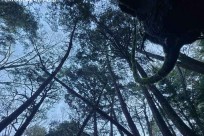 プライベートオーダーメイドツアー