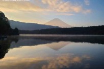 樹海ネイチャーツアー