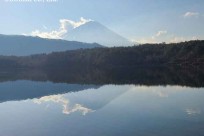 樹海ネイチャーツアー