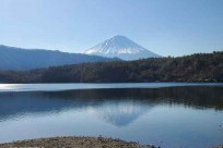 樹海ネイチャーツアー