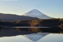 樹海モーニングツアー