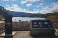 樹海ネイチャーツアー