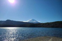 樹海ネイチャーツアー