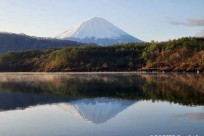 樹海モーニングツアー