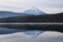 樹海モーニングツアー
