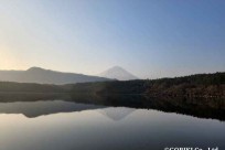 樹海モーニングツアー