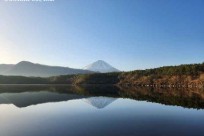 樹海モーニングツアー