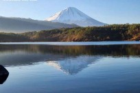 樹海モーニングツアー