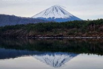 樹海モーニングツアー