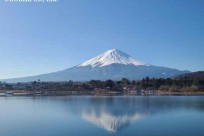 樹海モーニングツアー