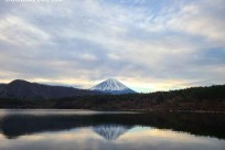 樹海モーニングツアー