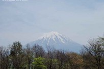 プライベートオーダーメイドツアー