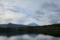 樹海モーニングツアー