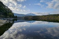 樹海モーニングツアー