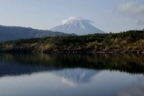 樹海モーニングツアー