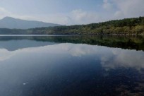 樹海モーニングツアー