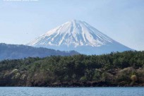 樹海モーニングツアー