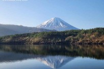 樹海モーニングツアー