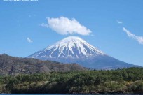 星のや富士様「樹海溶岩ハイキング」