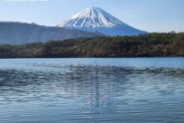 樹海モーニングツアー