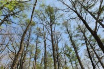 プライベートオーダーメイドツアー