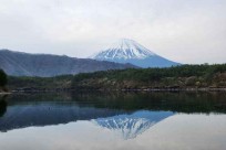 樹海モーニングツアー