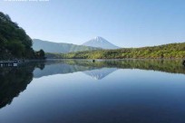 樹海モーニングツアー