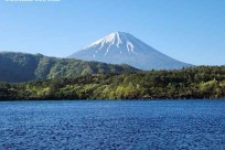 樹海モーニングツアー