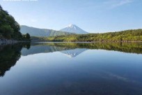 樹海モーニングツアー