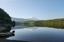 樹海モーニングツアー