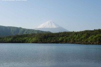 樹海モーニングツアー