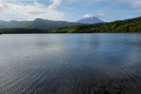 樹海モーニングツアー