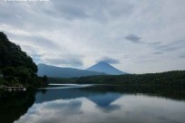 樹海モーニングツアー