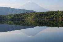樹海モーニングツアー