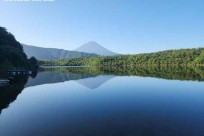 樹海モーニングツアー