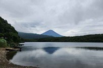 樹海モーニングツアー