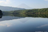 樹海モーニングツアー