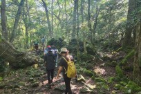 樹海モーニングツアー