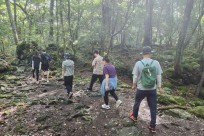 樹海モーニングツアー