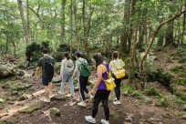 樹海モーニングツアー